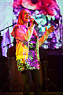 Hit Tour 2013